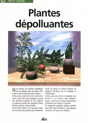 Plantes dépolluantes