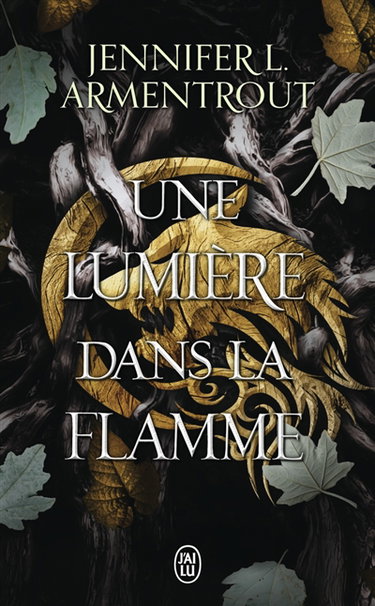 Couverture de La chair et le feu. Vol. 2. Une lumière dans la flamme