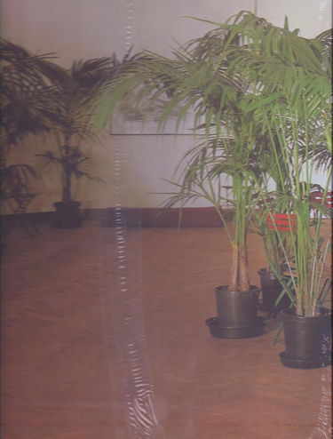 Art en Belgique depuis 1945