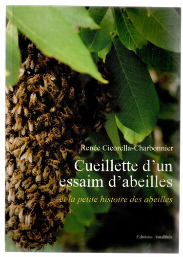 Couverture de Cueillette d'un essaim d'abeilles et la petite histoire des abeilles