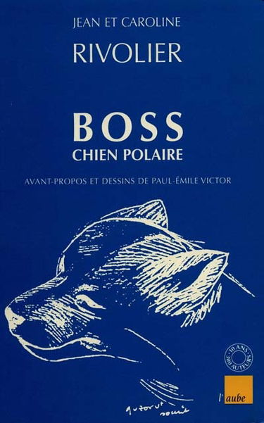 Boss, chien polaire