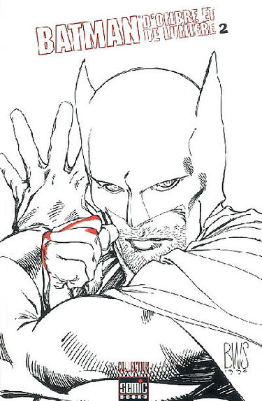 Batman : d'ombre et de lumière. Vol. 2