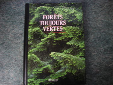 Forêts toujours vertes