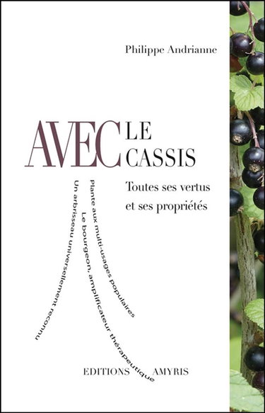 Avec le cassis : toutes ses vertus et ses propriétés