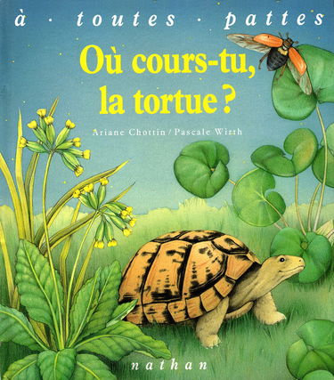 Ou cours-tu, la tortue ?
