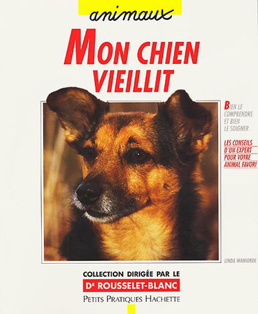 Mon chien vieillit : bien le comprendre et bien le soigner