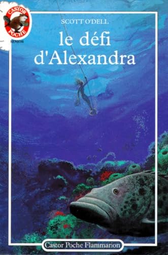 Le Défi d'Alexandra