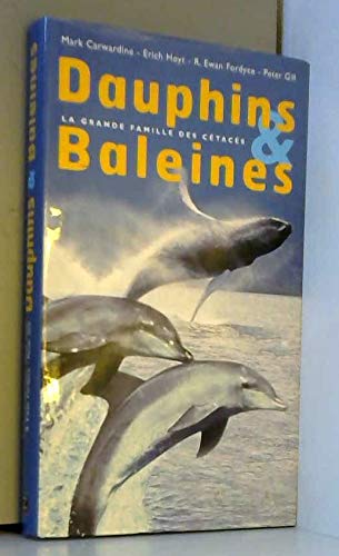 Dauphins & baleines