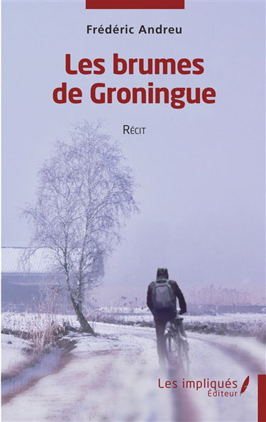 Les brumes de Groningue : récit