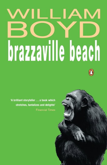 Couverture de Brazzaville Beach