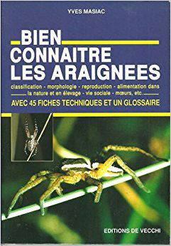 Bien connaître les araignées