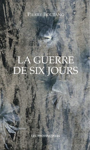 Couverture de La guerre de Six Jours