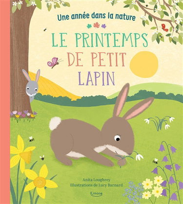 Couverture de Le printemps de Petit lapin