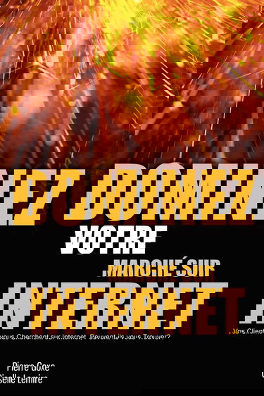 Dominez votre marché sur internet : Vos clients vous cherchent sur internet, peuvent-ils vous trouver?