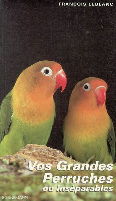 Vos grandes perruches ou inséparables