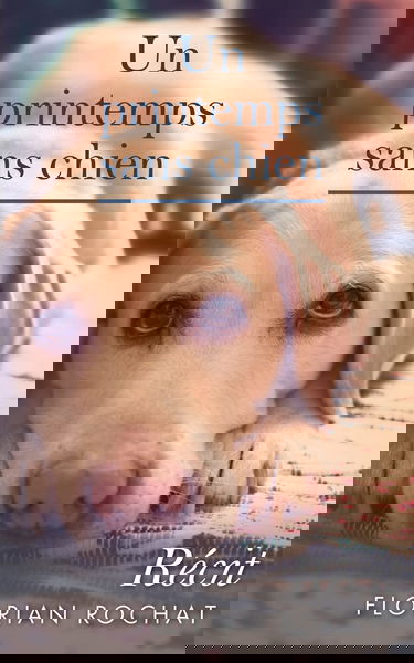 Un printemps sans chien