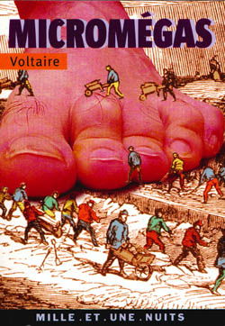 Micromégas