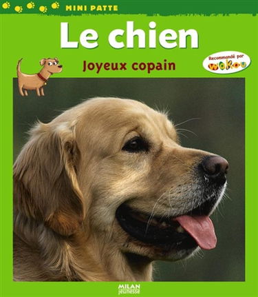 Le chien : joyeux copain