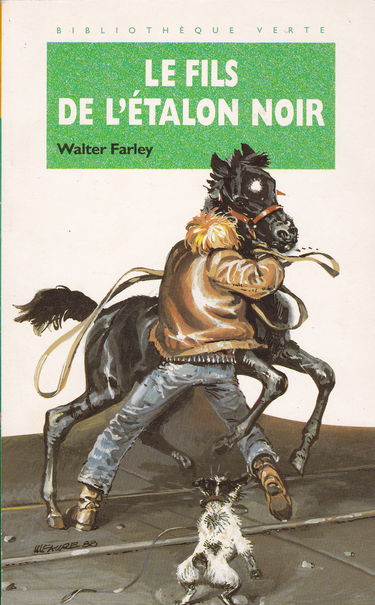 Le Fils de l'étalon noir