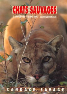 Chats sauvages