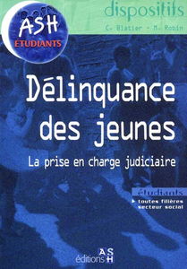 La délinquance des jeunes : la prise en charge judiciaire