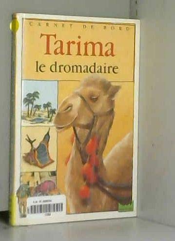 Tarima, le dromadaire