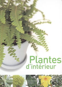 Plantes d'intérieur