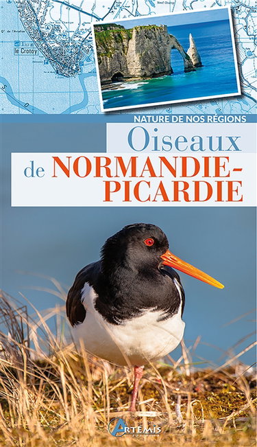 Couverture de Oiseaux de Normandie-Picardie par Jacques Theillard