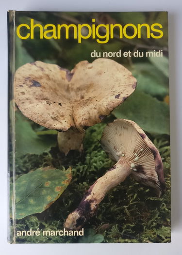 Champignons du Nord et du Midi. Vol. 6. Lactaires et pholiotes