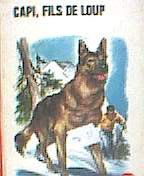 Capi, Fils de loup - Illustrations de Henri Dimpre