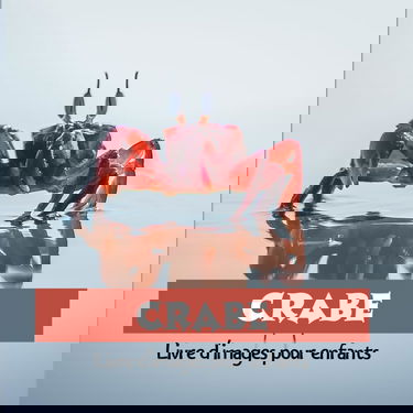 Crabe: Livre d'images pour enfants