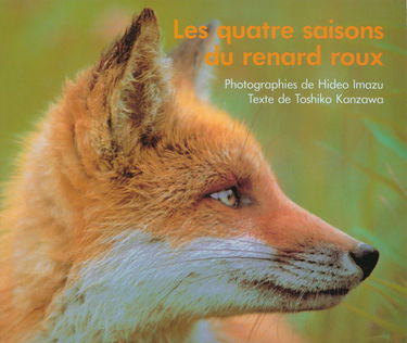 Les Quatre Saisons Du Renard Roux