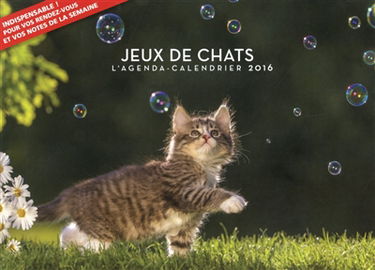 Jeux de chats : l'agenda-calendrier 2016