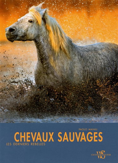 Chevaux sauvages : les derniers rebelles