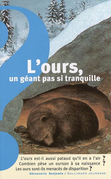 L'ours, un géant pas si tranquille