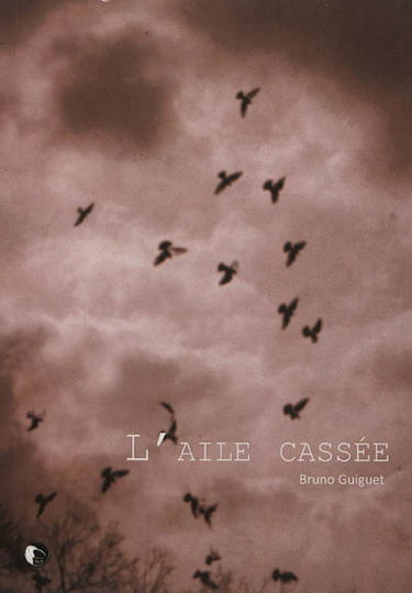 L'aile cassée