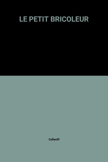 Le Petit bricoleur