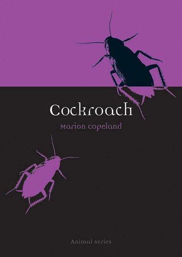 Couverture de Cockroach