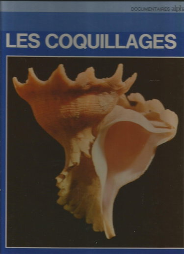 Couverture de LES COQUILLAGES