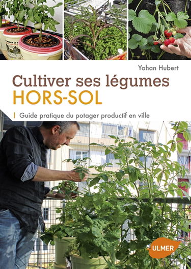 Cultiver ses légumes hors-sol : guide pratique du potager productif en ville