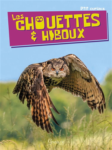 Couverture de Les chouettes & hiboux