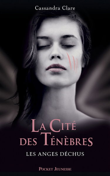La Cité des ténèbres. Vol. 4. Les anges déchus