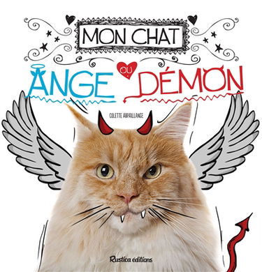 Mon chat : ange ou démon