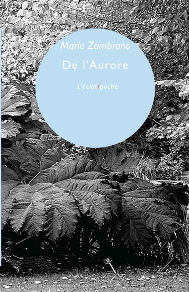 De l'aurore