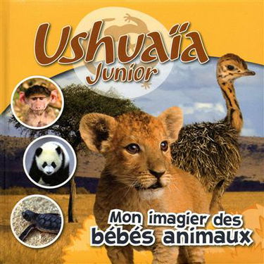 Mon imagier des bébés animaux