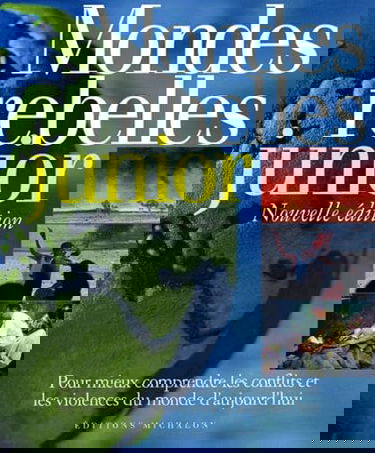 Mondes rebelles junior : Pour mieux comprendre les conflits et les violences du monde d'aujourd'hui