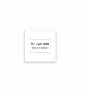 Un jubilé pour l'an 2000: [lettre apostolique, 10 novembre 1994