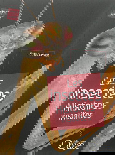 Les insectes : histoires insolites