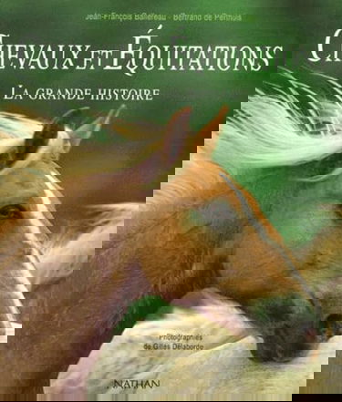 Chevaux et équitations : la grande histoire