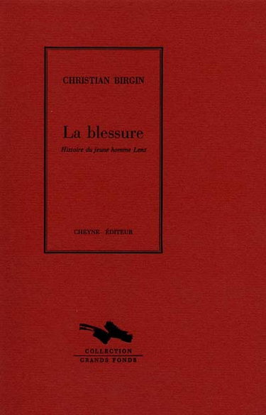 La blessure : histoire du jeune homme Lenz